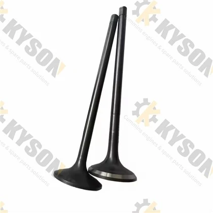 Qsk23 Qsk78 Cm2250 dyzelinio variklio išmetimo vožtuvas 4089090 4007180
